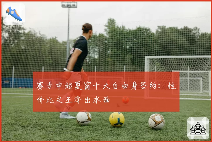 赛季中超夏窗十大自由身签约:性价比之王浮出水面